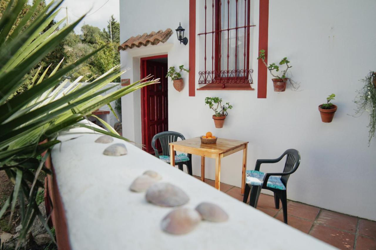 Casa Montecote Eco Resort Vejer de la Frontera Eksteriør billede