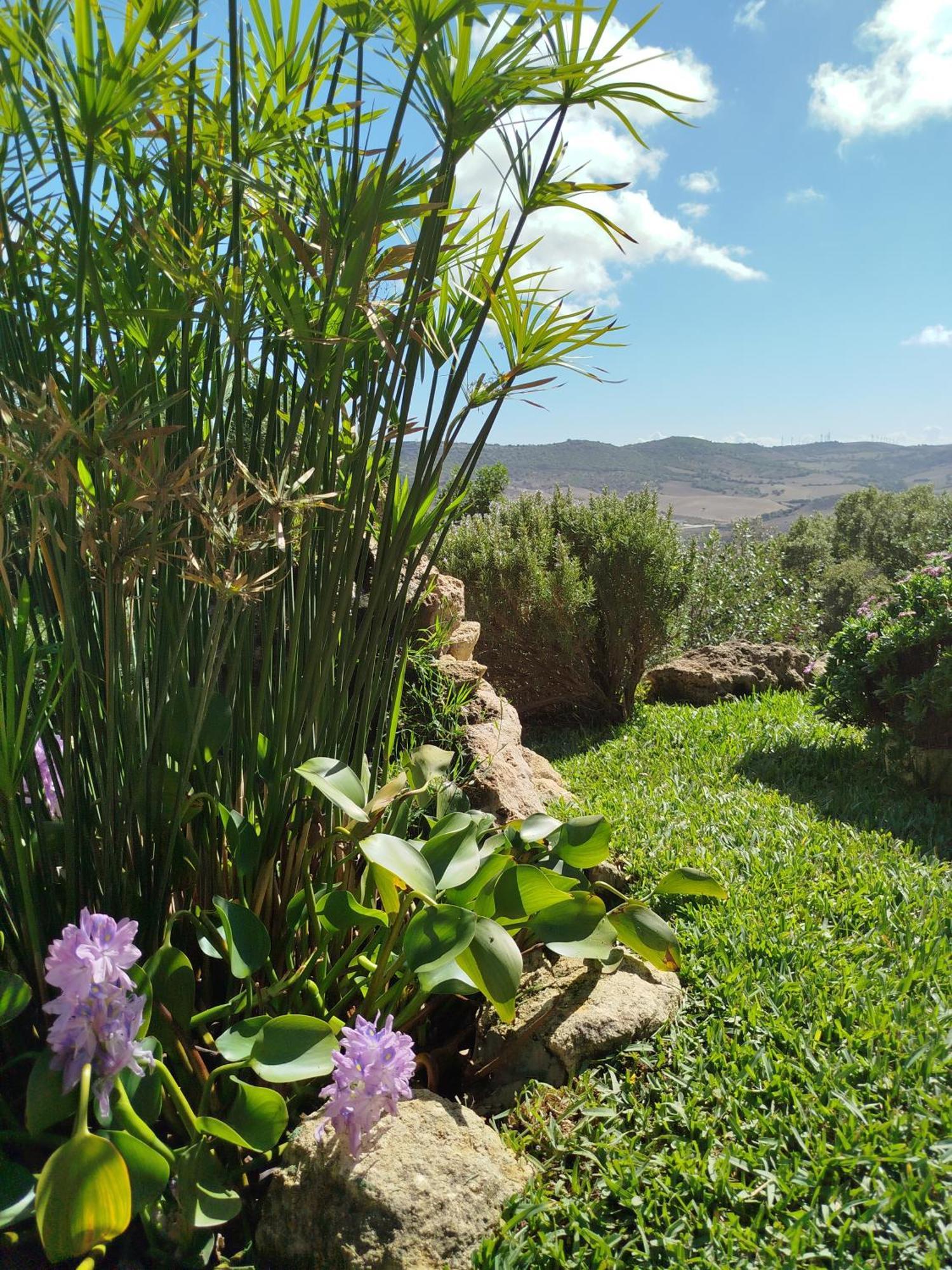 Casa Montecote Eco Resort Vejer de la Frontera Eksteriør billede