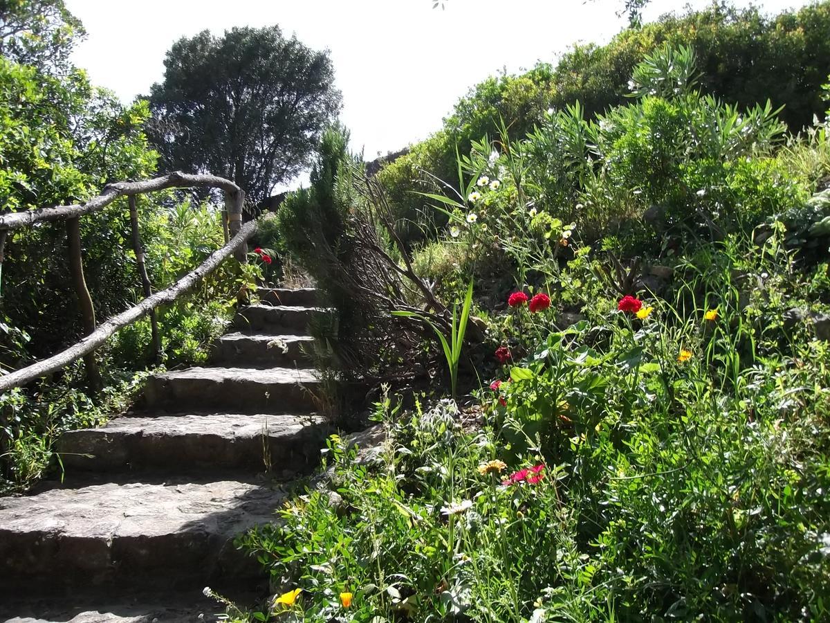 Casa Montecote Eco Resort Vejer de la Frontera Eksteriør billede